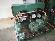 Type Compressor เครื่องทำความเย็นแบบระบายความร้อนด้วยอากาศสำหรับห้องแช่แข็ง