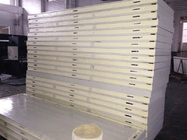 เหล็กแผ่นห้องเย็นฉนวนกันความร้อน 42 Kg / M³ PU Lock Panel สำหรับ Workshop