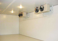 เดิน Modular ในห้องพักห้องแช่แข็งโครงสร้างประกอบกับ 100mm ความหนา Panel