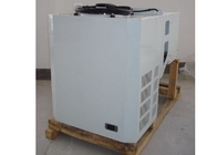 ตู้เย็น 3 เครื่องทำความเย็นแบบ Monoblock สำหรับตู้แช่แข็งแบบ Deep Freezer
